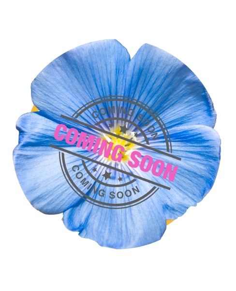 Atlanta Badinya Kaffo organization